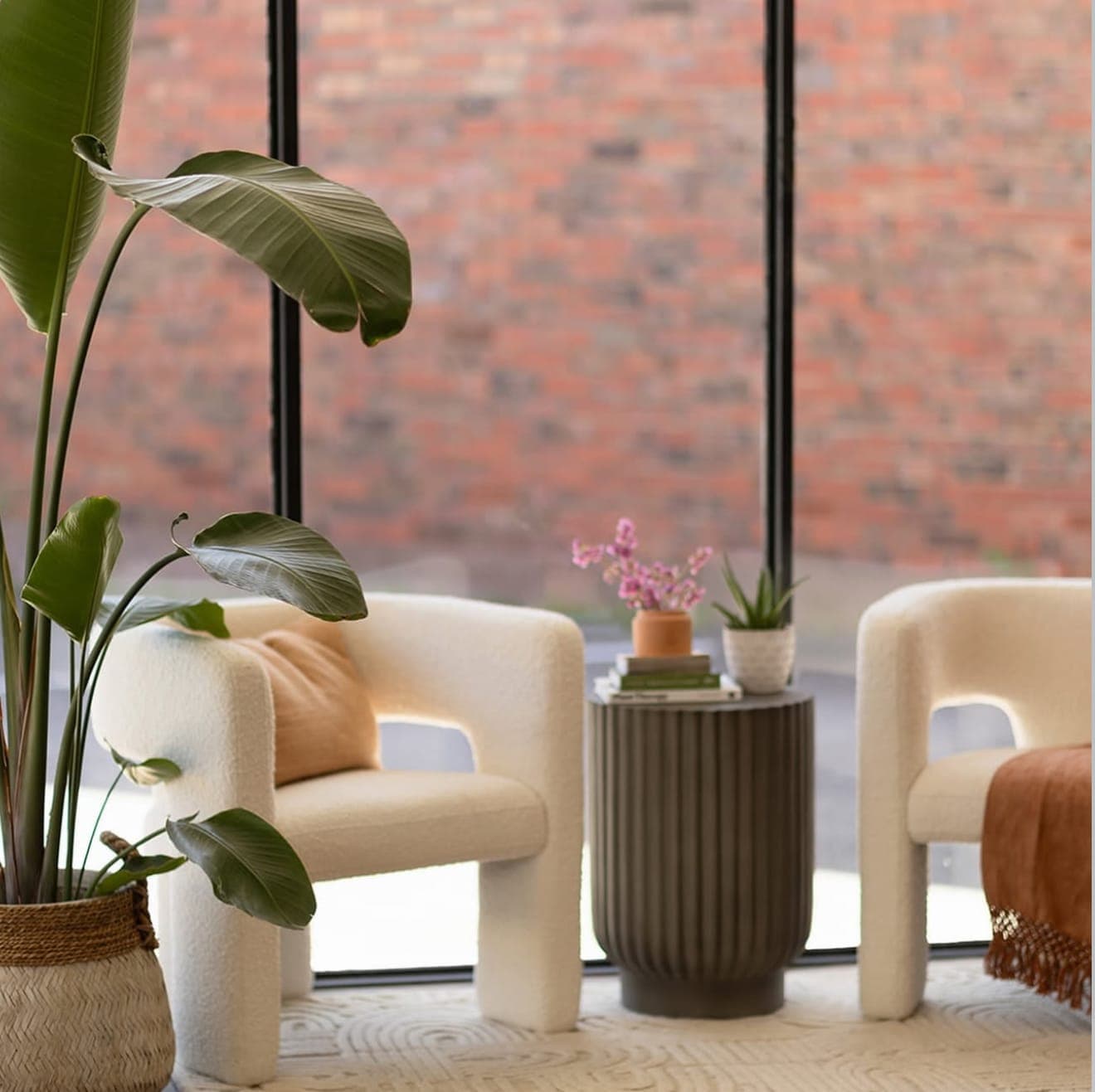 Curjo Hair salon waiting area with natural light, plants, and comfortable seating